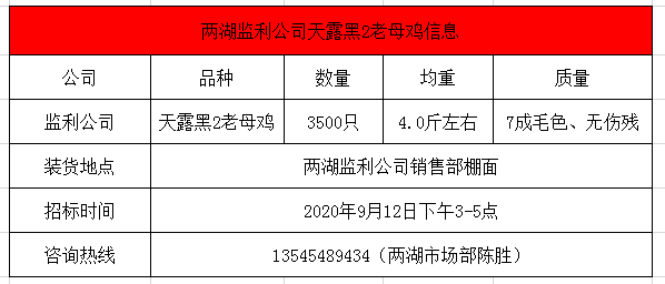 技术咨询 第85页