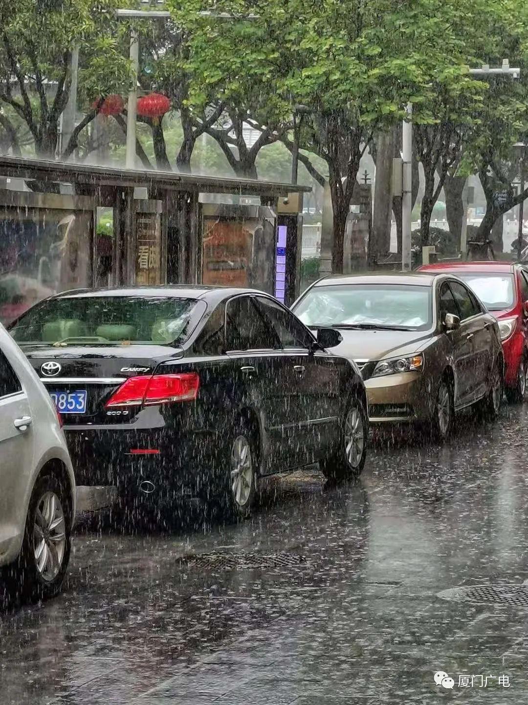 福建暴雨预警信号升级，守护生命安全刻不容缓